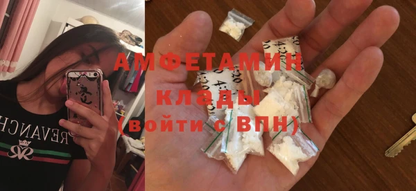 индика Абаза