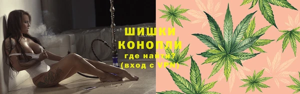 индика Абаза