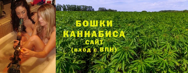индика Абаза