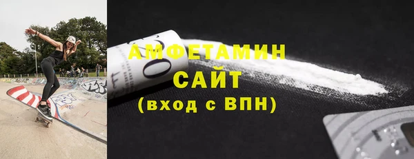 индика Абаза