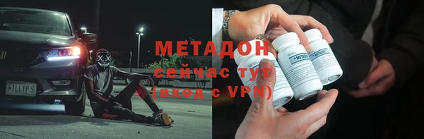 индика Абаза