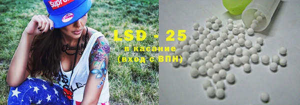 индика Абаза