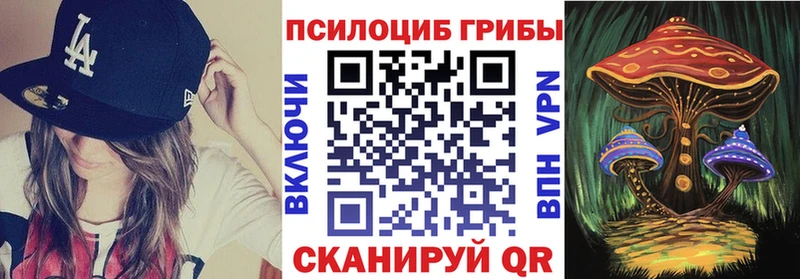 даркнет телеграм  Тамбов  Псилоцибиновые грибы Cubensis 